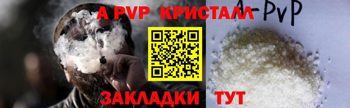 APVP СК Долгопрудный
