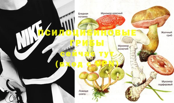 прущая мука Армянск