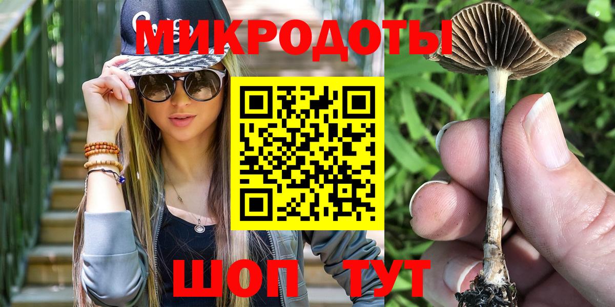 Псилоцибиновые грибы прущие грибы  купить   Галлюциногенные грибы GOLDEN TEACHER  Долгопрудный  Вход с VPN 