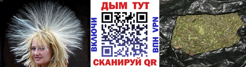 продажа наркотиков  Долгопрудный  Шишки марихуана сатива 